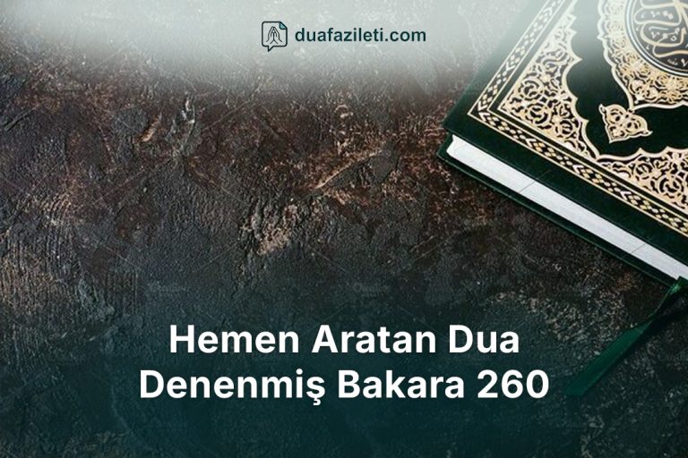 Hemen Aratan Dua Denenmiş Bakara 260